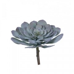 DECO FLOWER SUCCULENT 